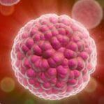 The causal agent of human papilloma