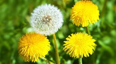 methods to remove papillomas using home remedies